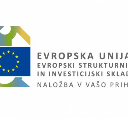 Zagon Kranja s pomočjo črpanja sredstev sofinanciranja