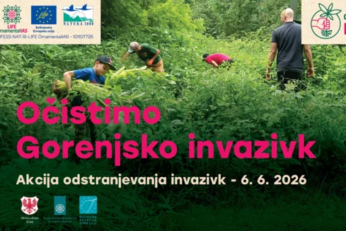 Očistimo Gorenjsko invazivk 2026