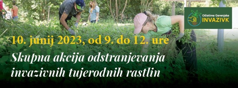 Sodelujte v akciji Očistimo Gorenjsko invazivk