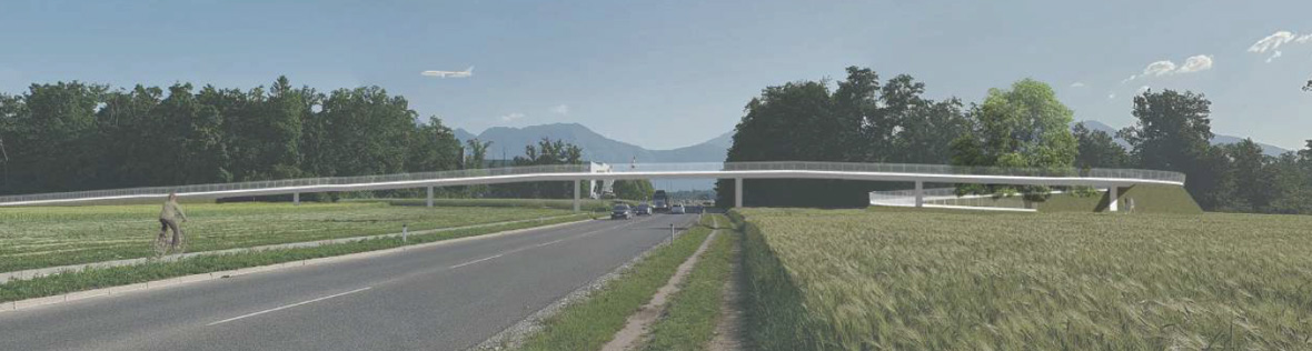 Državna cesta med Tušem in Qlandijo